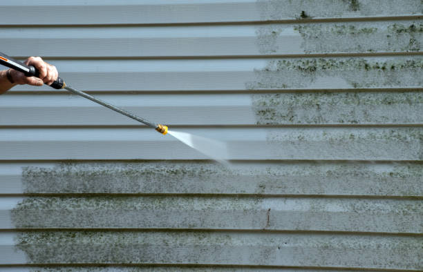 Best Gutter Cleaning and Brightening in Dalton, GA